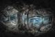 "غار سیل زده اثر مارتین برون (ایالات متحده آمریکا). برنده عکس بین المللی منظره سال.